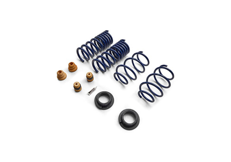 FR Spring Kits - Ford Racing 15-24 Mustang Street Lowering Spring Kit