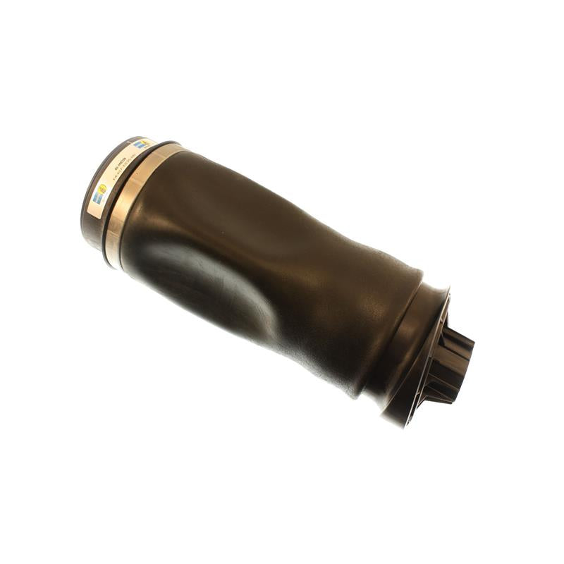 BIL B4 Series Shocks - Bilstein B4 2006 Mercedes-Benz R350 4Matic Rear Air Bag