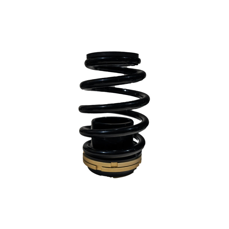 BX Plus Coilovers - BLOX Racing 12-13 Honda Civic SI Plus Series Fully Adjustable Coilovers