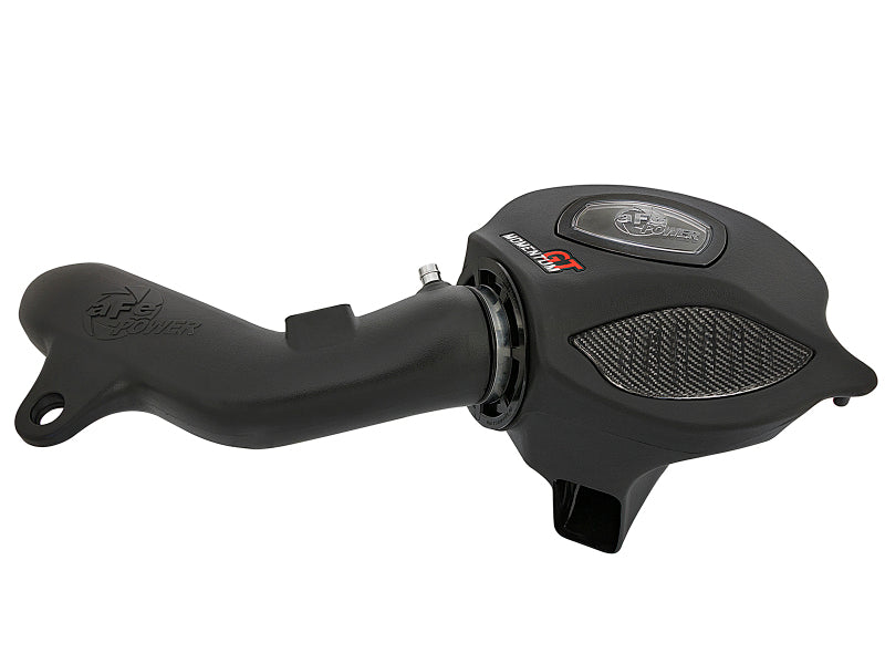 AFE Momentum GT Cold Air Intakes - aFe Momentum GT Pro DRY S Cold Air Intake System 16-17 BMW M2 (F87) L6 3.0L (t) N55