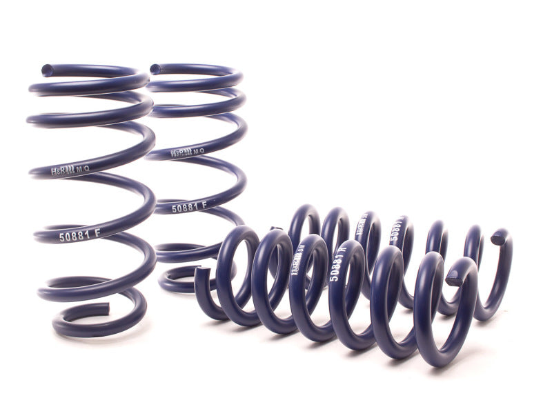 HR Sport Springs - H&R 11-14 Dodge Charger RT (AWD) Max/Plus V8 Sport Spring