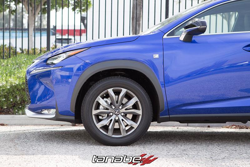 TAN Springs - NF210 - Tanabe NF210 Springs 15-16 Lexus NX200T F-Sport FWD