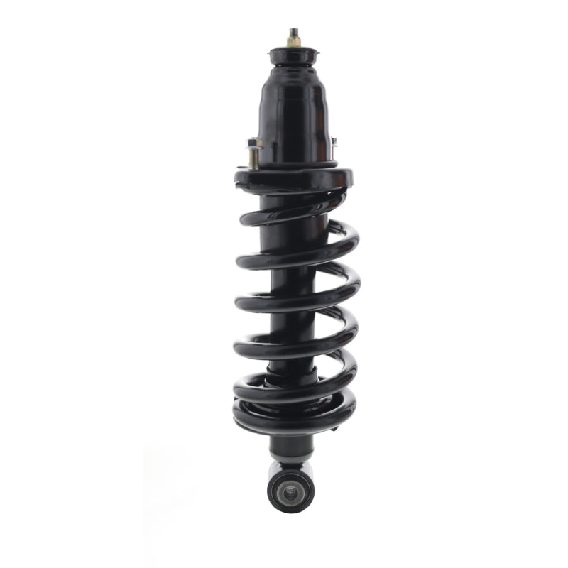 KYB Shocks & Struts Strut Plus - KYB Shocks & Struts Strut Plus Left Rear 03-11 Honda Element