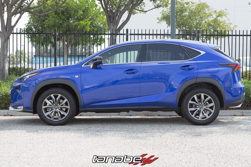 TAN Springs - NF210 - Tanabe NF210 Springs 15-16 Lexus NX200T F-Sport FWD