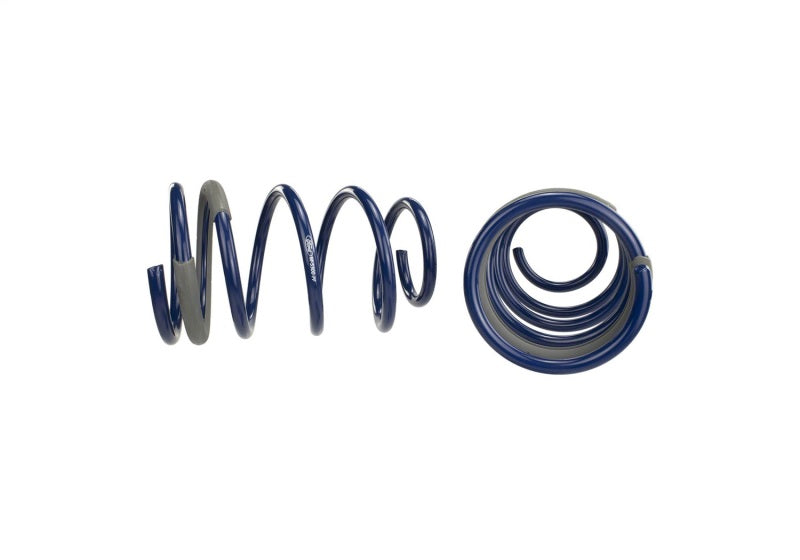 FR Spring Kits - Ford Racing 2005-2014 Mustang GT 1.0in. Track Lowering Springs