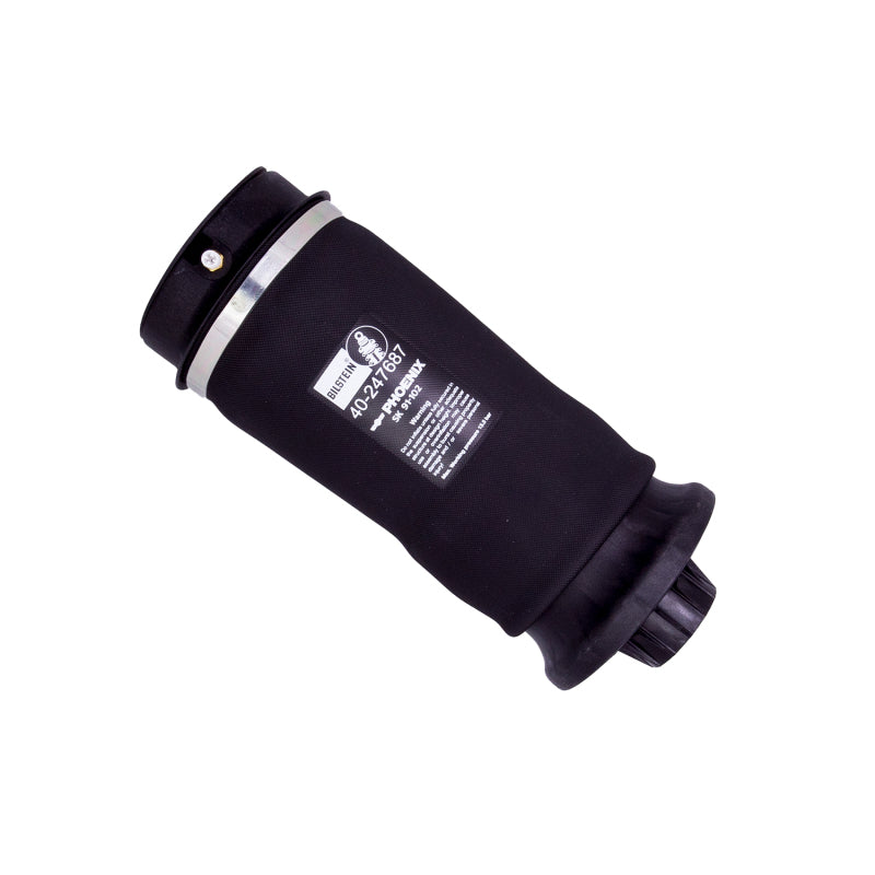 BIL B3 Series Shocks - Bilstein B3 OE Replacement 13-15 Mercedes-Benz GL63 AMG Rear Air Suspension Spring