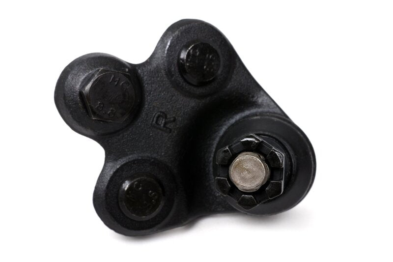 BX Roll Center Adjusters - BLOX Racing Roll Center Adjusters / Extended Front Ball Joints - 06-11 Honda Civic (Pair)