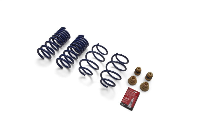 FR Spring Kits - Ford Racing 15-19 Mustang (w/o MagneRide) Street Lowering Spring Kit