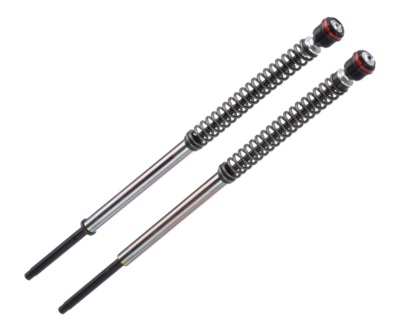 BIT JBH0 Fork Cartridge Kits - Bitubo JBH0 Pressurized Cartridge Adj.: Spring Preload, Rebound, Comp., w/o Oil, Red Ring