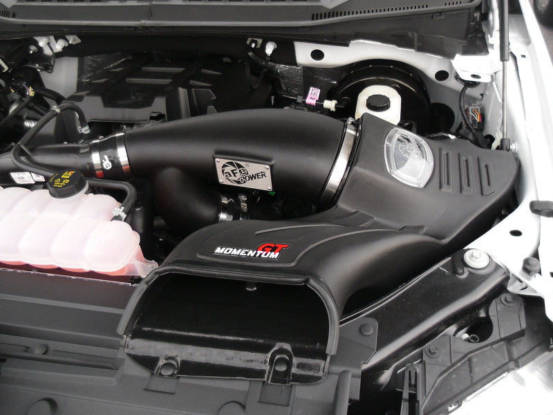 AFE Momentum GT Cold Air Intakes - aFe Momentum GT Pro DRY S Intake System 2016 Ford F-150 EcoBoost V6-2.7L/3.5L (tt)