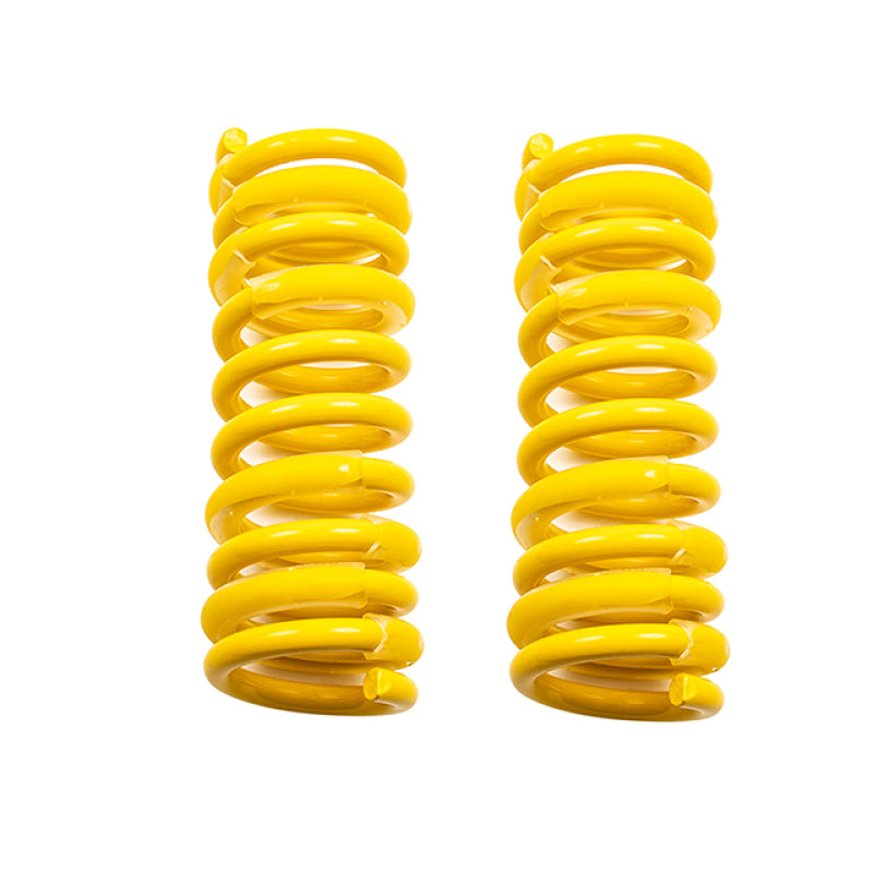 BT Spring Set - Belltech MUSCLE CAR SPRING KITS DODGE 300C MAGNUM 8 CYL(EXC S