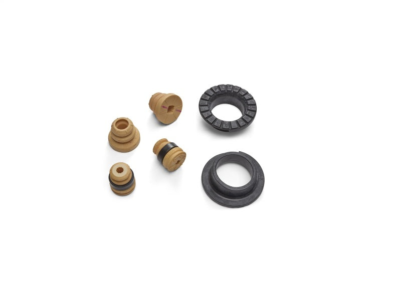 FR Spring Kits - Ford Racing 2024 Mustang 2.3L Track Lowering Spring Kit