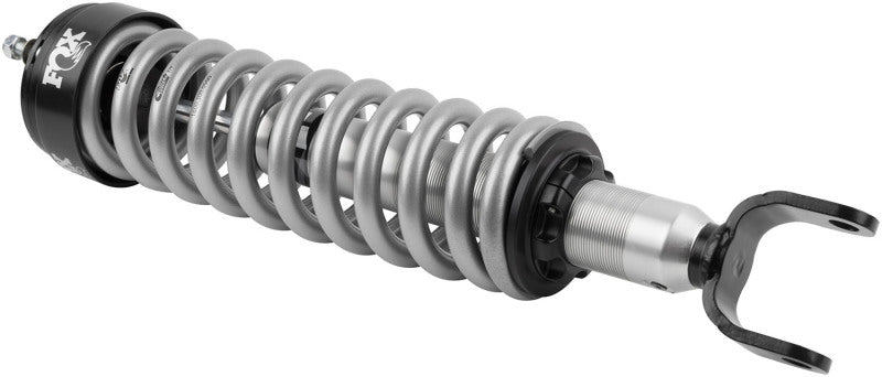 FOX 2.0 Perf Coilover Shock - Fox 19+ Ram 1500 4WD 2.0 Performance Series IFP Coilover Shock (Alum) / 0-2in. Lift