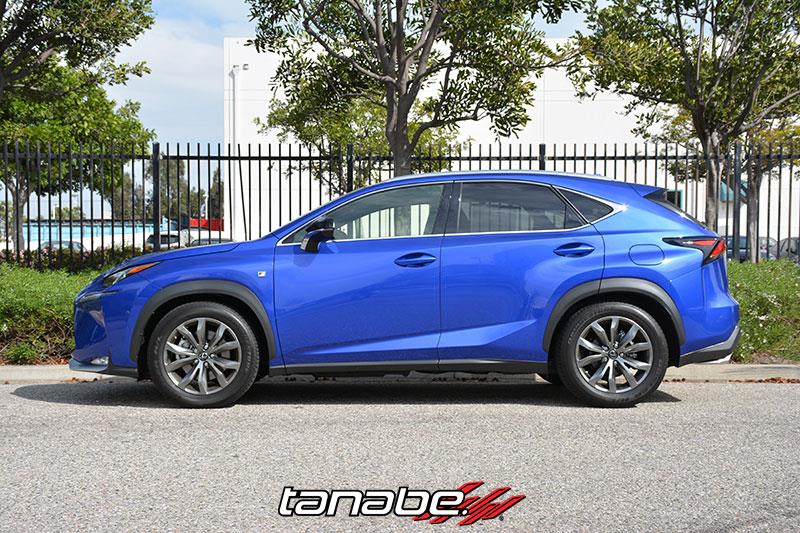 TAN Springs - NF210 - Tanabe NF210 Springs 15-16 Lexus NX200T F-Sport FWD