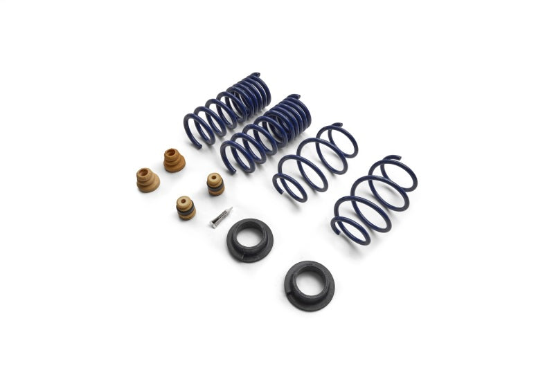 FR Spring Kits - Ford Racing 15-24 Mustang Street Lowering Spring Kit