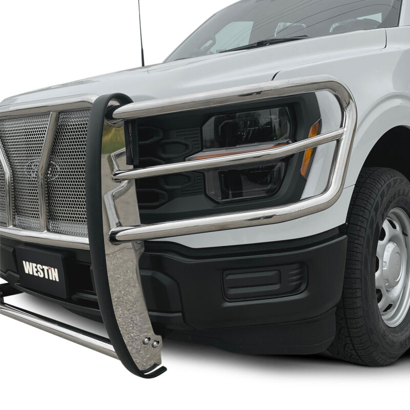 WES HDX Grille Guards - Westin 21-22 Ford F-150 (Excl. Raptor/Platinum) HDX Grille Guard - SS