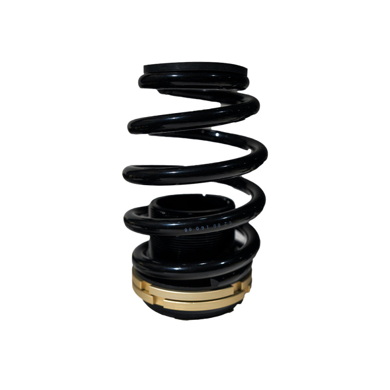 BX Plus Coilovers - BLOX Racing 14-15 Honda Civic SI Plus Series Fully Adjustable Coilovers