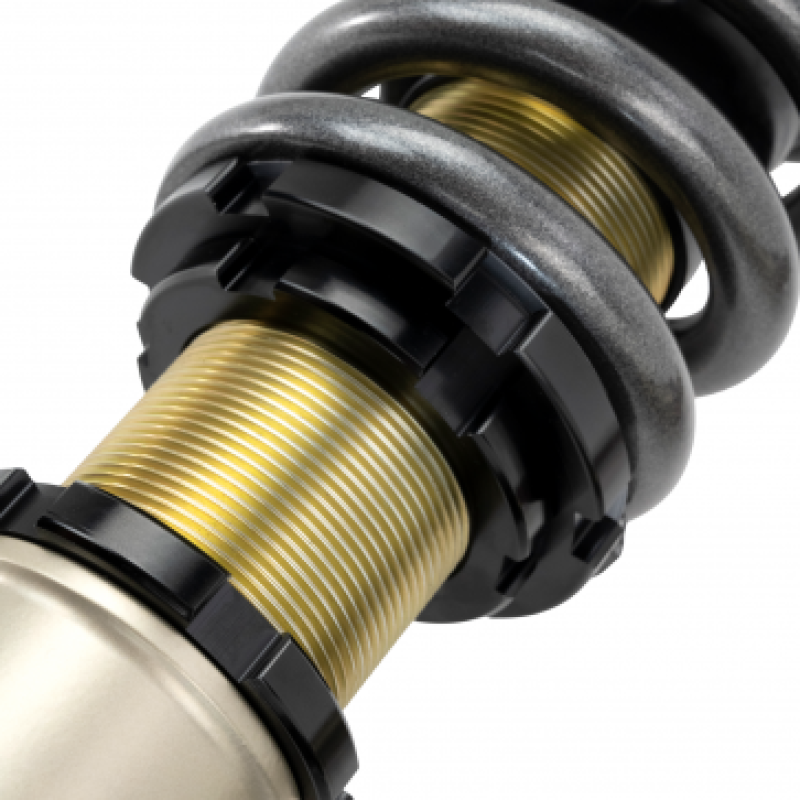 SK Pro S II Coilovers - Skunk2 92-95 Honda Civic/94-01 Acura Integra (EG/EK/DC) Pro-S II Drag Spec Coilovers (12K/18K Rates)