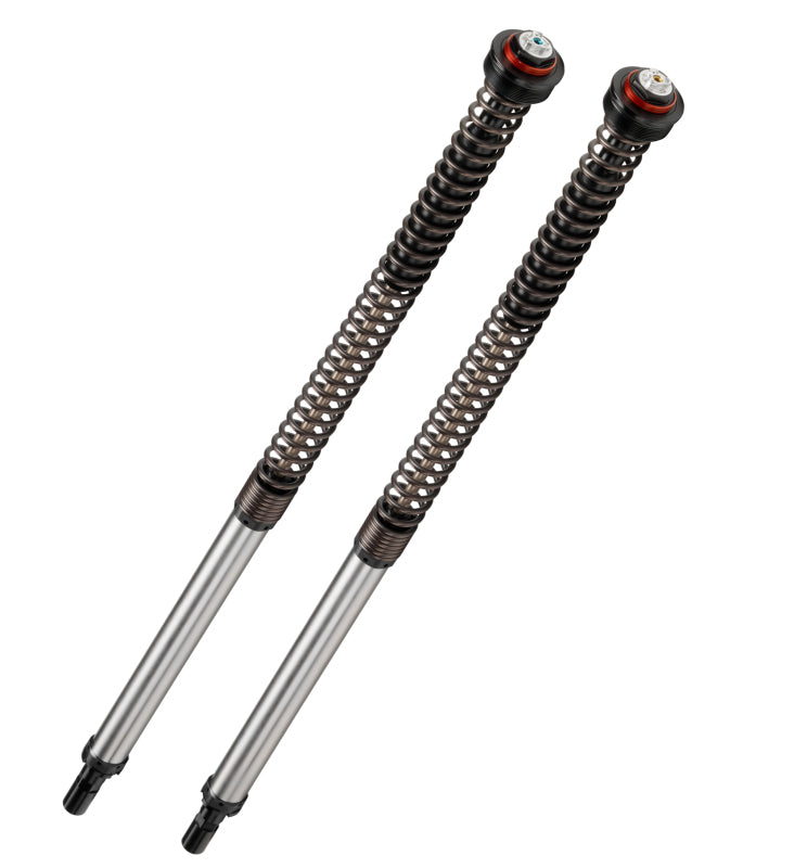BIT JBHV2 Fork Cartridge Kits - Bitubo JBHV2 Cartridge Adjustable: Spring Preload, Rebound, Compression + 2 Lt. Oil, Red Ring