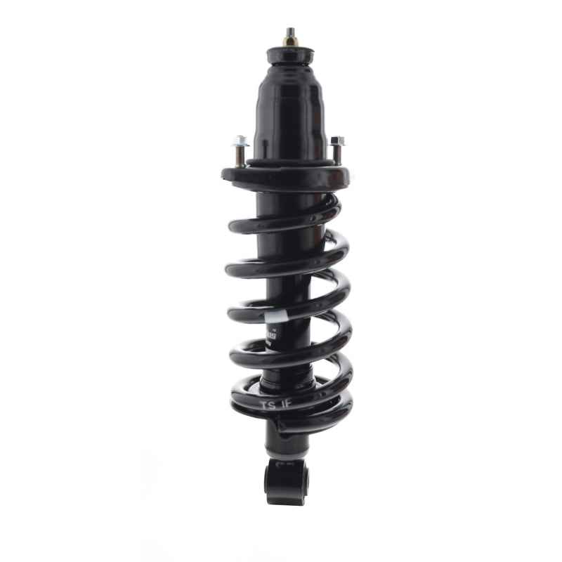 KYB Shocks & Struts Strut Plus - KYB Shocks & Struts Strut Plus Right Rear 03-11 Honda Element