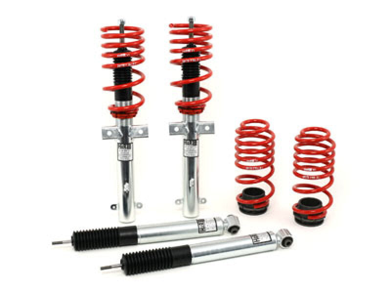 HR Street Perf Coil Overs - H&R 07-10 Ford GT500/GT500 Convertible V8 Street Perf. Coil Over