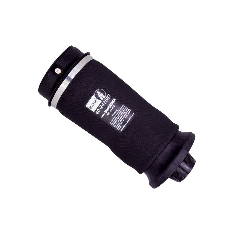 BIL B3 Series Shocks - Bilstein B3 OE Replacement 13-15 Mercedes-Benz GL63 AMG Rear Air Suspension Spring