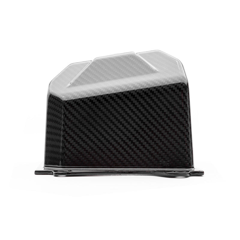 COBB Redline Carbon Intakes - Cobb 14-19 Ford Fiesta ST Redline Carbon Fiber Intake System - Gloss Finish