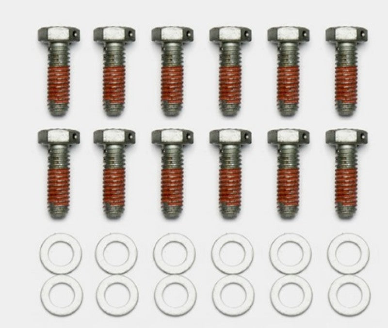 WIL Bolt Kit - Wilwood Bolt Kit - 5/16-18 x 1.00 LG - 12 pk