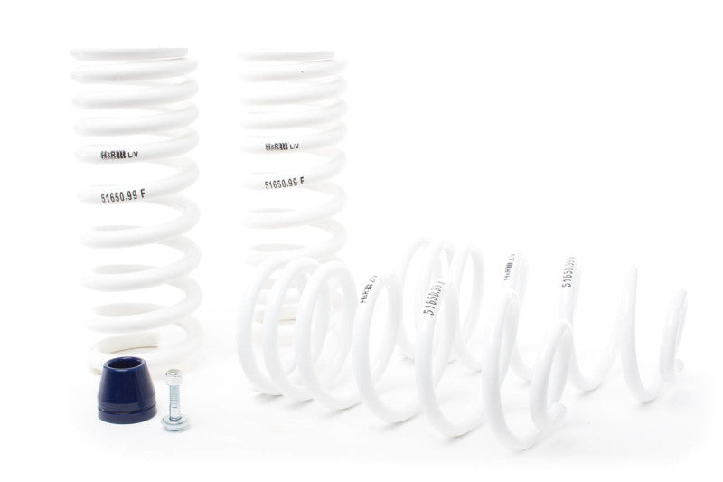 HR Race Springs - H&R 94-95 Ford Mustang/Mustang Cobra V8 Super Race Spring