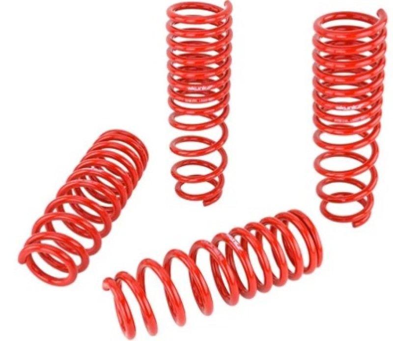 SK Lowering Springs - Skunk2 92-95 Honda Civic/Del Sol Lowering Springs (2.50in - 2.25in.) (Set of 4)
