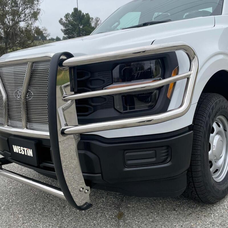WES HDX Grille Guards - Westin 21-22 Ford F-150 (Excl. Raptor/Platinum) HDX Grille Guard - SS