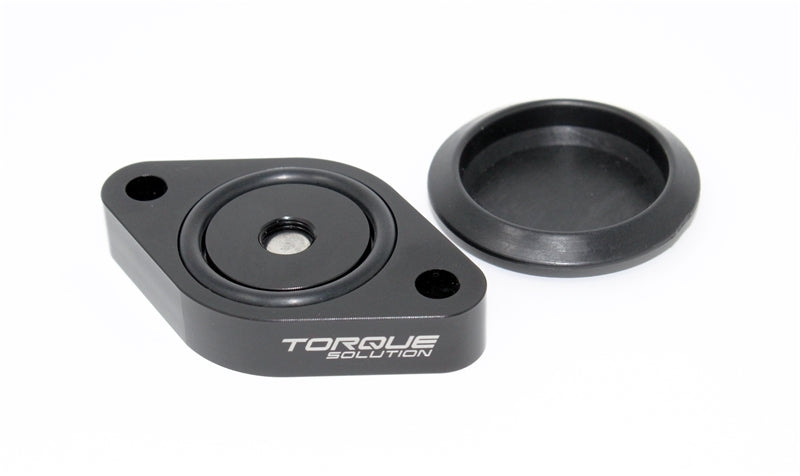 TQS Block Off Plates - Torque Solution Sound Symposer Delete 2013+ Ford Focus ST