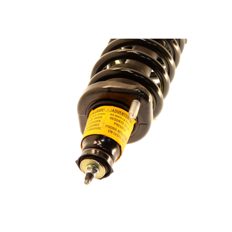 KYB Shocks & Struts Strut Plus - KYB Shocks & Struts Strut Plus Rear Left HONDA CR-V 2004-2002