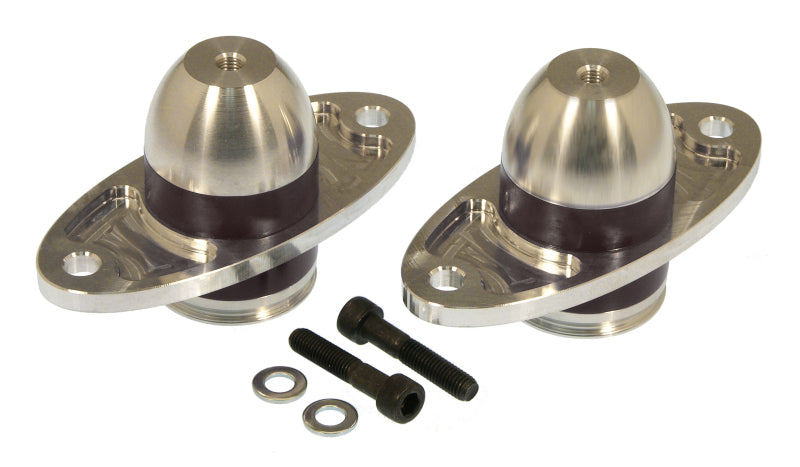 PRO Engine Mounts - Blk - Prothane 05-06 Ford Mustang Bullet Motor Mounts - Black