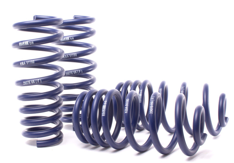 HR Sport Springs - H&R 07-13 BMW X5 E70 Sport Spring (w/o Self-Leveling/Incl. Diesel)