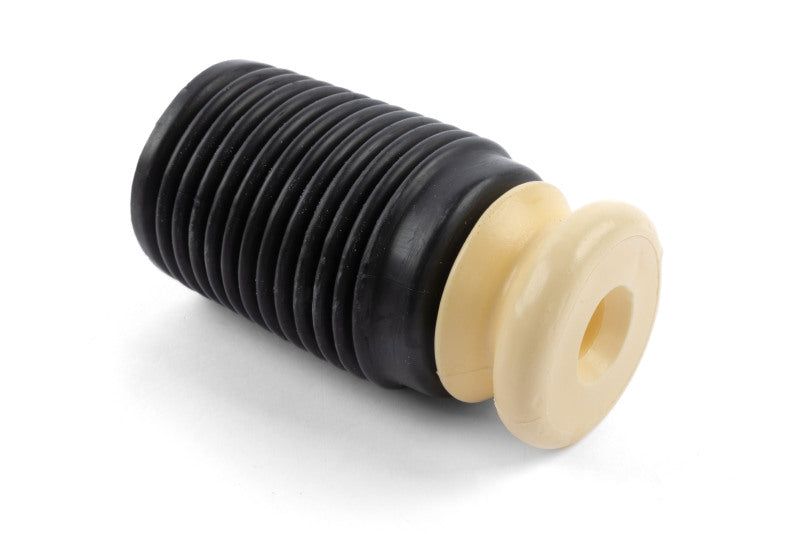 DNN Handling Kits - Dinan 14-24 Mini Cooper Handling Kit