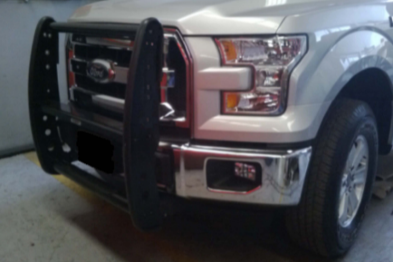 GOR Step Guard - 3000 - Black - Go Rhino 15-17 Ford F-150 3000 Series StepGuard - Black (Center Grille Guard Only)
