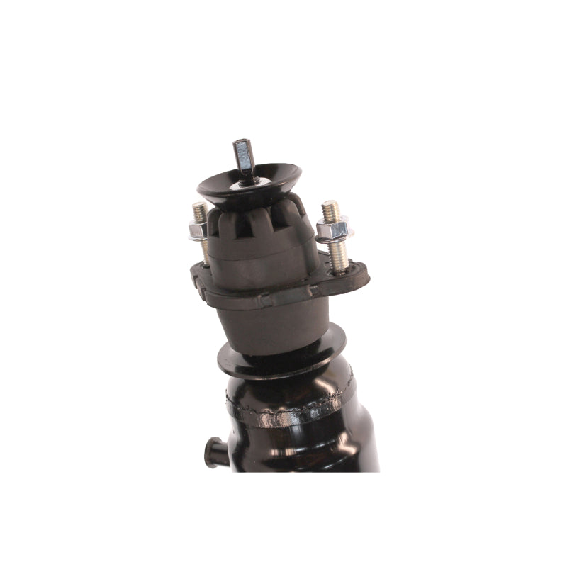KYB Shocks & Struts Strut Plus - KYB Shocks & Struts Strut Plus Rear BUICK LeSabre 2005-2000