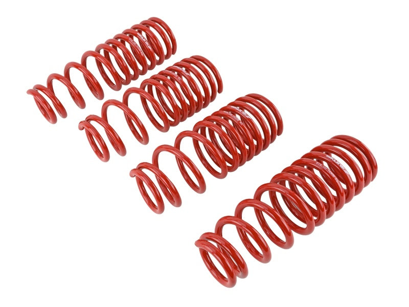 SK Lowering Springs - Skunk2 94-01 Acura Integra Lowering Springs (2.50in - 2.25in.) (Set of 4)
