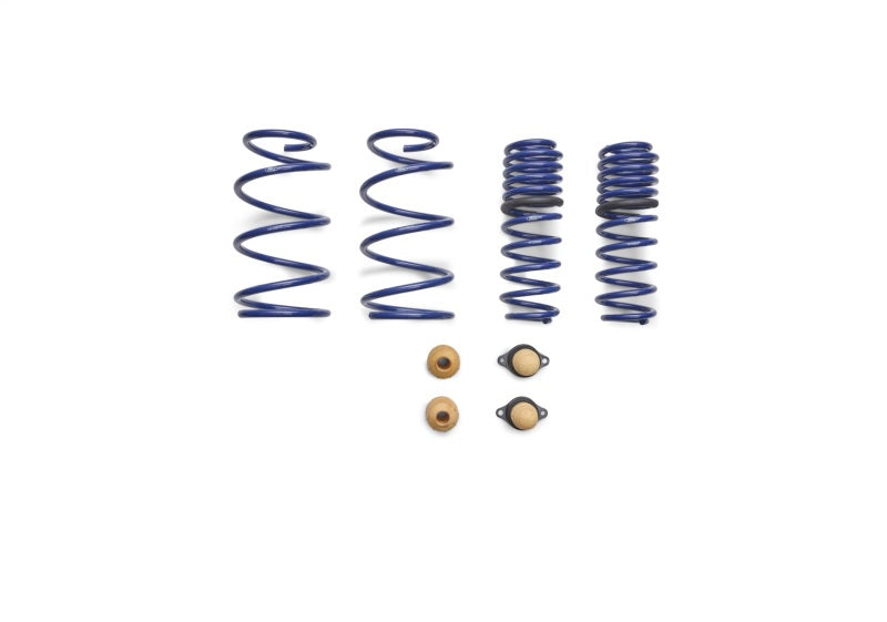 FR Spring Kits - Ford Racing 2012-2013 BOSS 302 Lowering Springs