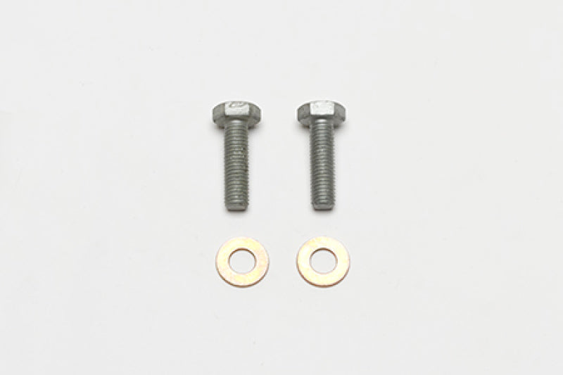 WIL Bolt Kit - Wilwood Bolt Kit Bracket Mount M10-1.50 Thread - 2 Qty