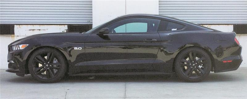 EIB Pro-Kits - Eibach Pro-Kit for 2015 Ford Mustang GT 5.0L V8