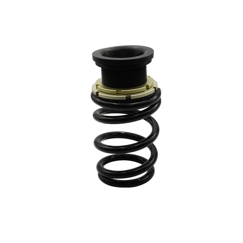 BX Plus Coilovers - BLOX Racing 17-22 Tesla Model 3 Rwd Plus Series Fully Adjustable Coilovers