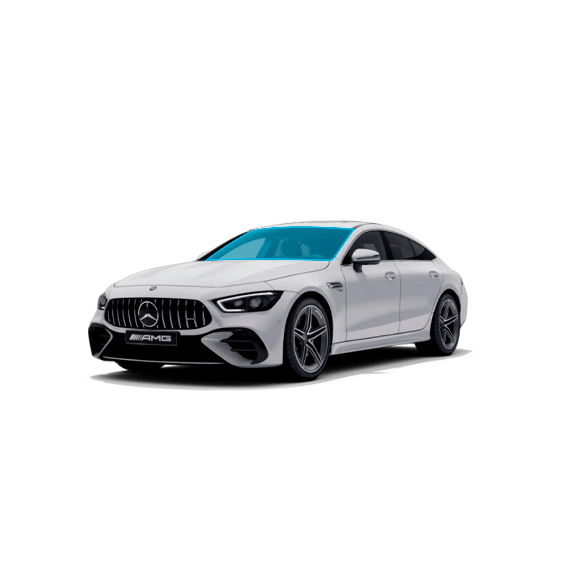 Windshield Clear Shield