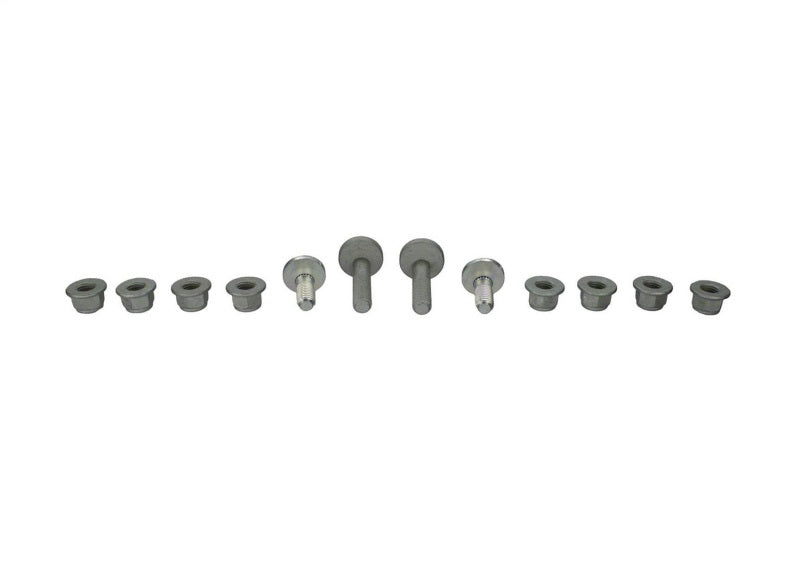 FR Camber Kits - Ford Racing 05-14 Mustang Caster & Camber Alignment Eccentric Bolt Kit