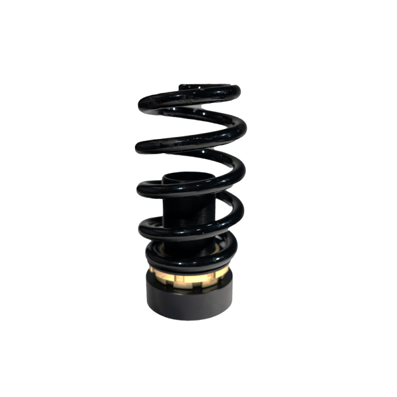 BX Plus Coilovers - BLOX Racing 17+ Honda Civic SI Plus Series Fully Adjustable Coilovers 17+ Honda Civic Hatchback 52mm