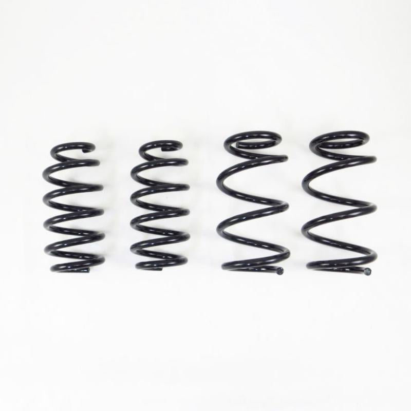 RSR Ti2000 Down Springs - RS-R 19+ Tesla Model 3 AWD Down Sus Springs