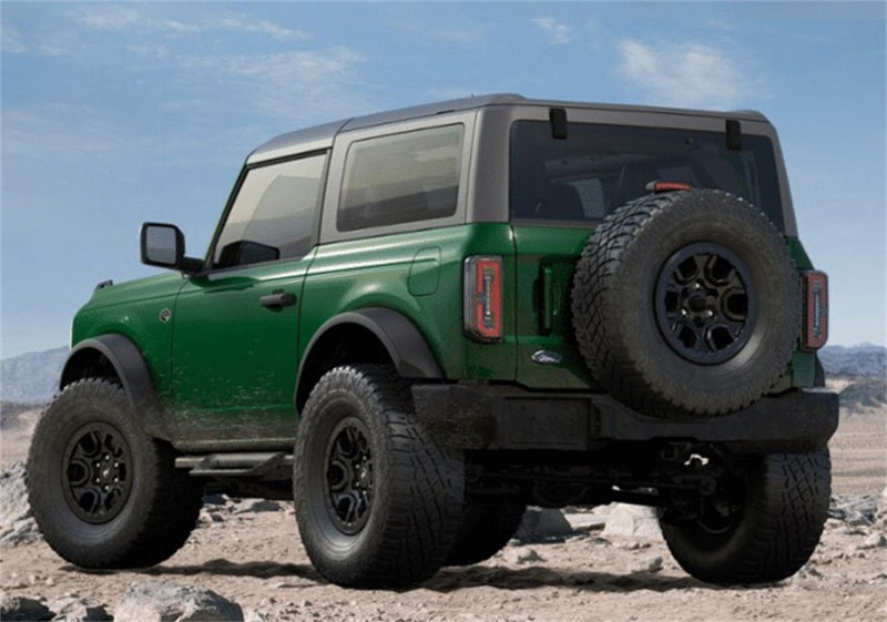 FR Side Steps - Ford Racing Bronco Off-Road Hoop Steps