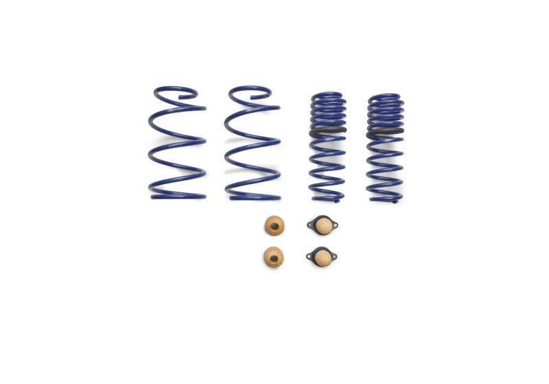 FR Spring Kits - Ford Racing 2012-2013 BOSS 302 Lowering Springs