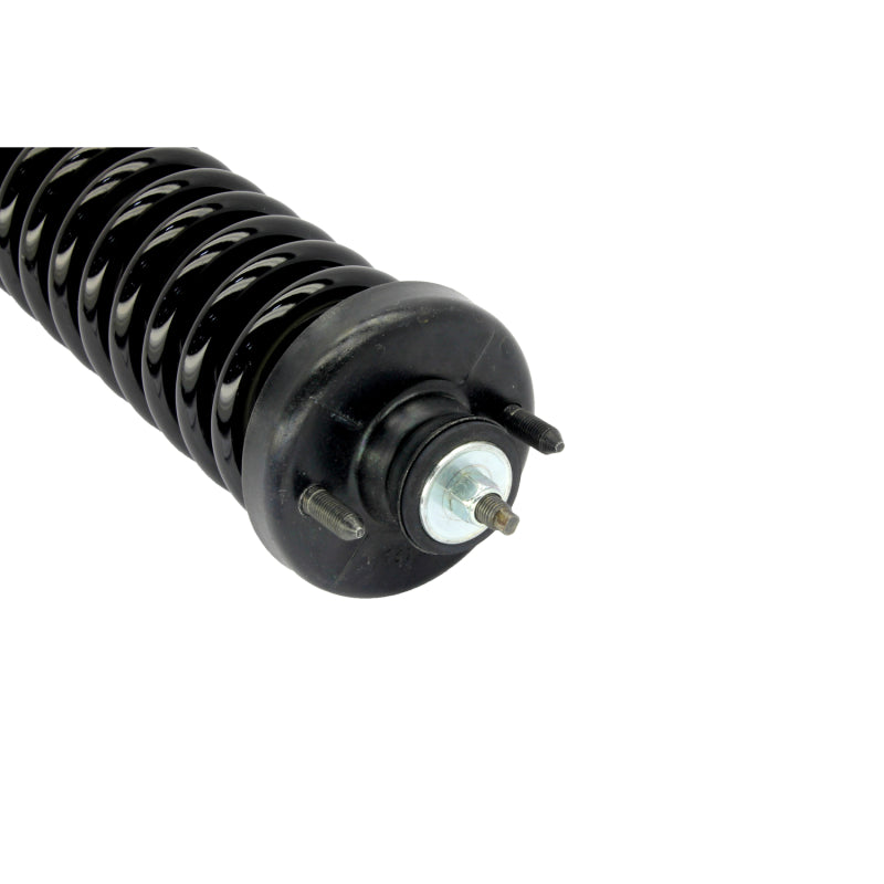 KYB Shocks & Struts Strut Plus - KYB Shocks & Struts Strut Plus Front Left Honda Civic 1996-00